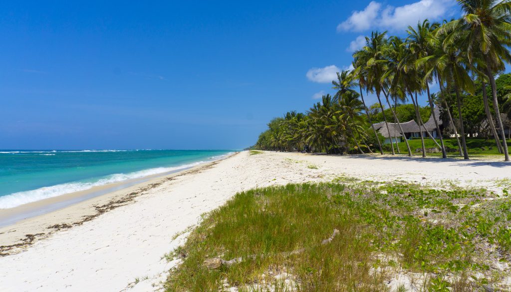 Tiwi Beach