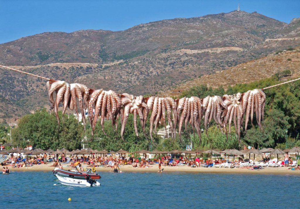 Calamari hanging on a line. Ios, Greece