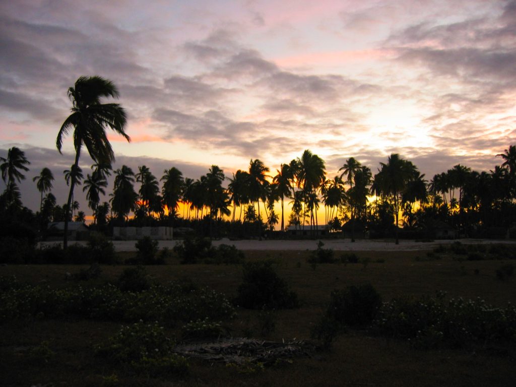 Jambiani, on the East Coast of Zanzibar. Sunset behind the palm trees