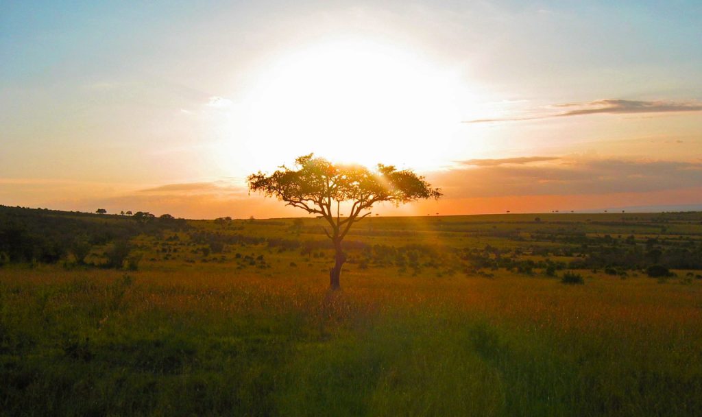 Maasai Mara Sunset