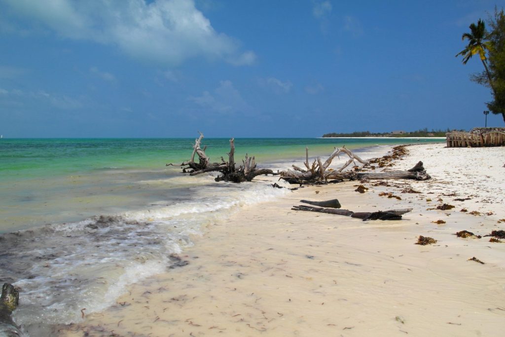 Michamwi beach