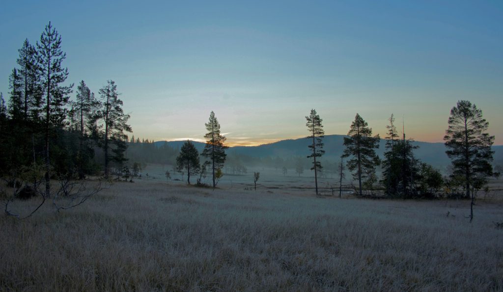 Namsskogan, Norway - Sunrise in he mountain forest