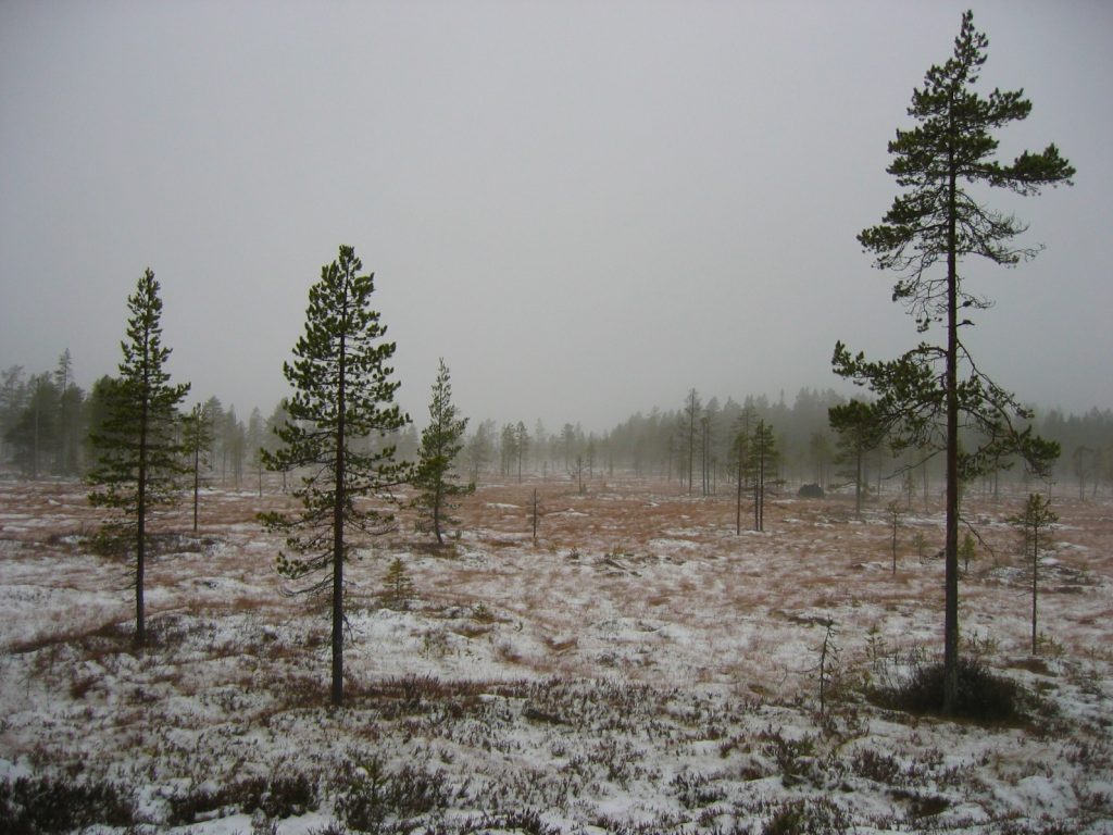 Norway Trysil 1