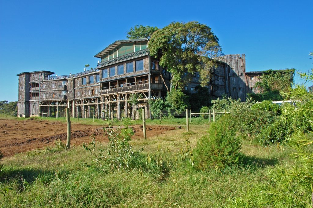 Treetops Lodge