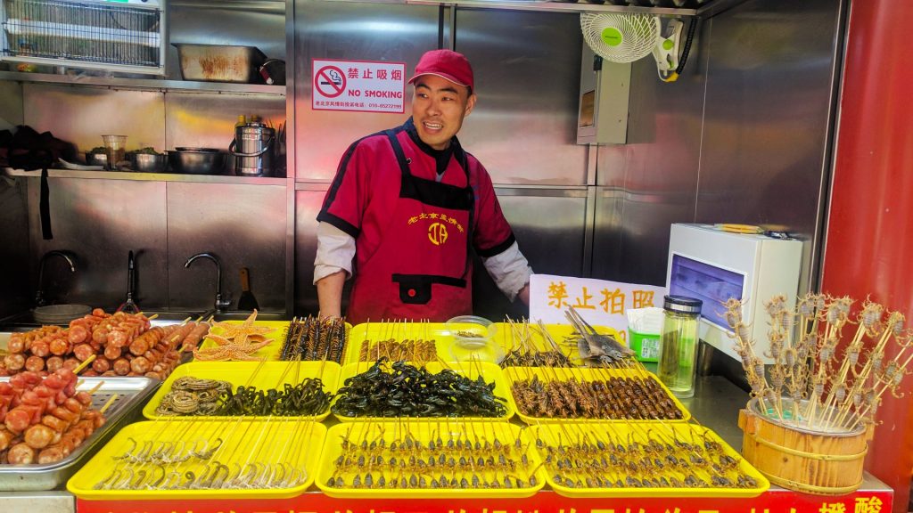 Wangfujing - scorpions, spiders, bats. Looking for exotic street food in China? This is it!