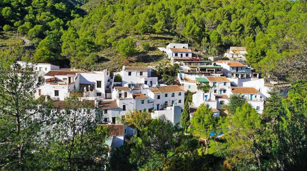 Acebuchal village - hidden in a steep vally behind Frigiliana. Their main attraction is one restaurant, called Bar Acebuchal, and it is well worth the visit!