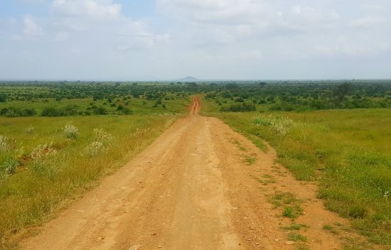 Tsavo East