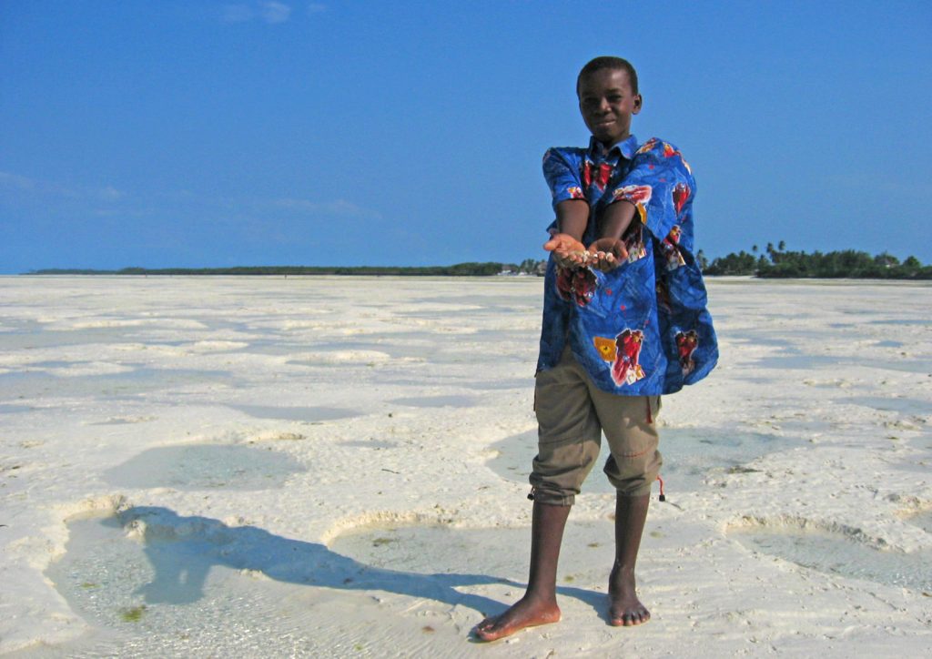 Jambiani – Boy picking shells on the beach during low tide