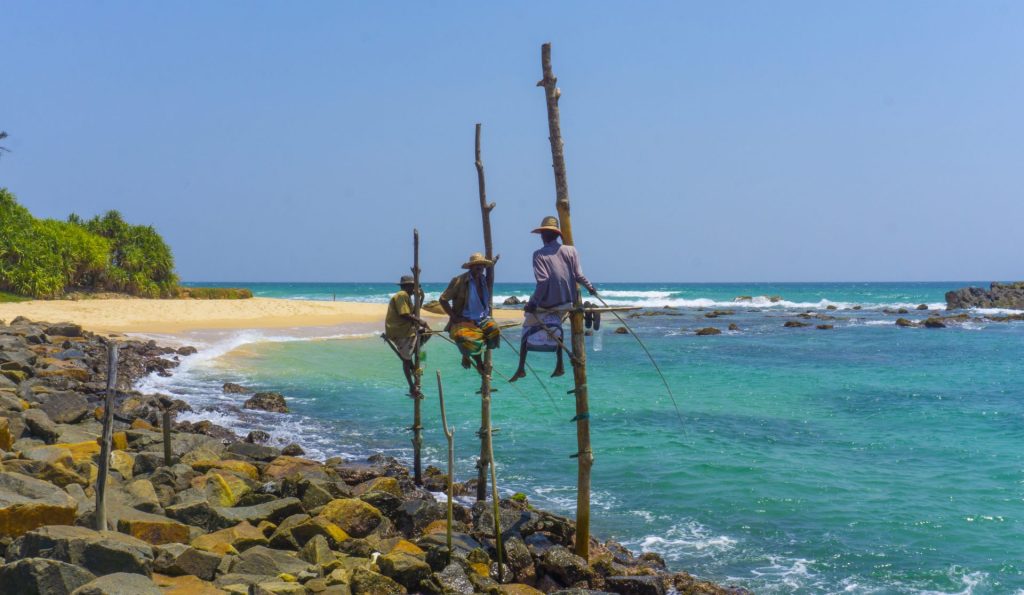 Stilt fishermen in Koggala, Sri Lanka