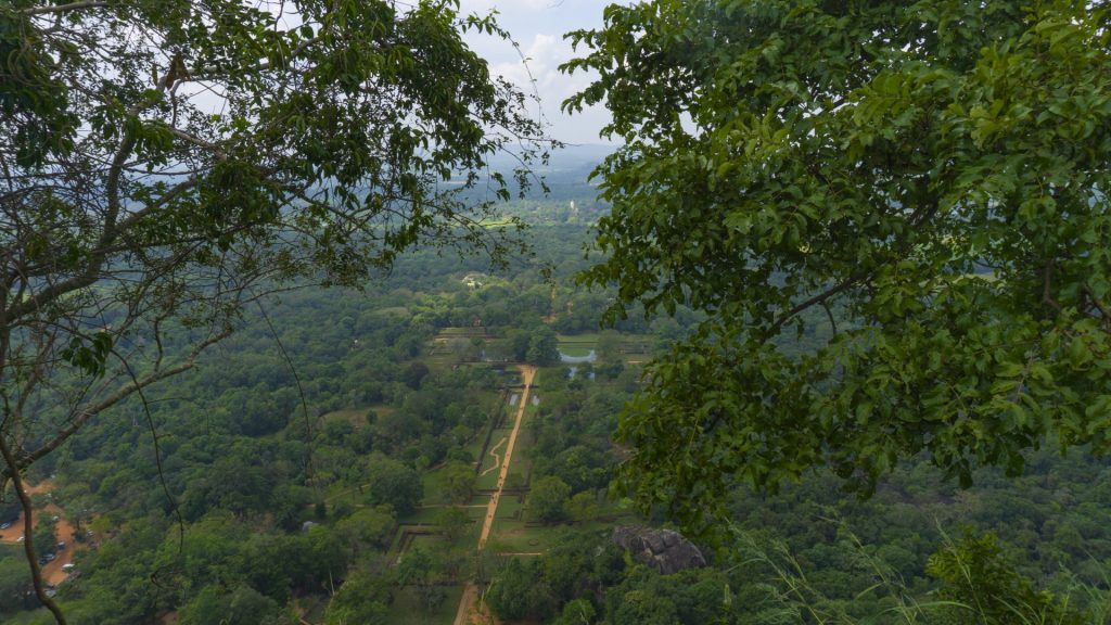 Sigiriya Rock View from the Top