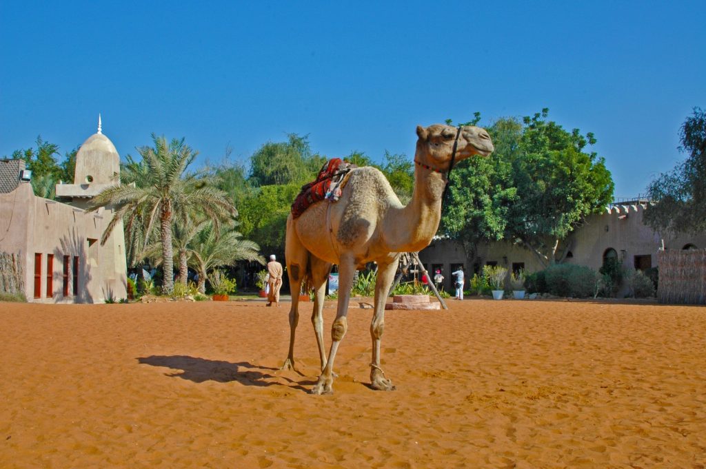 Abu Dhabi – Heritage Village. The Old Town of Abu Dhabi. Little more than a village by the sea, this heritage site is a key reminder of the spectacular rise of Abu Dhabi and the UAE in less than half a century!