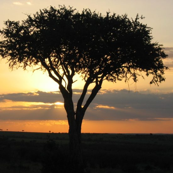 For once, Africa has an image advantage
